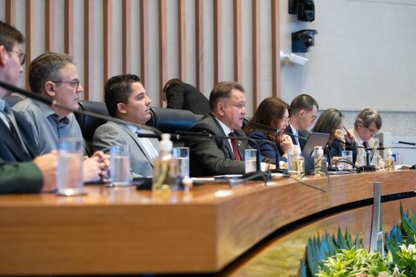 Presidente da Anfibro, Márcia Caires. (Foto: Felipe Ando / Agência CLDF)