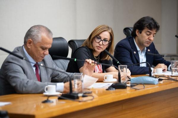 Foto: Felipe Ando/Agência CLDF