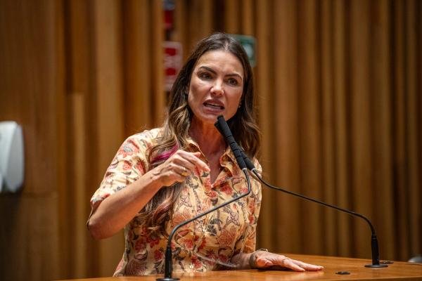 Deputados distritais aprovam projetos resultantes da CPI do Rio Melchior em primeiro turno