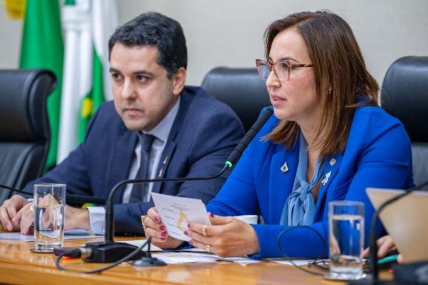 Secretaria de Saúde presta contas sobre 3º quadrimestre de 2025 à Câmara Legislativa