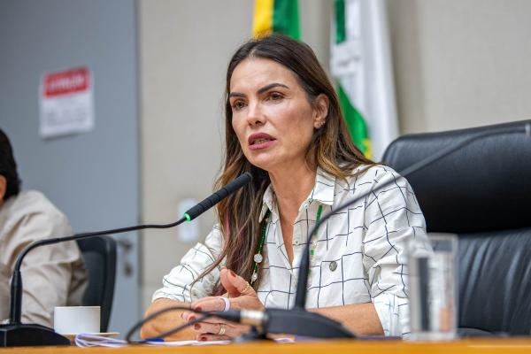 Foto: Andressa Anholete / Agência CLDF