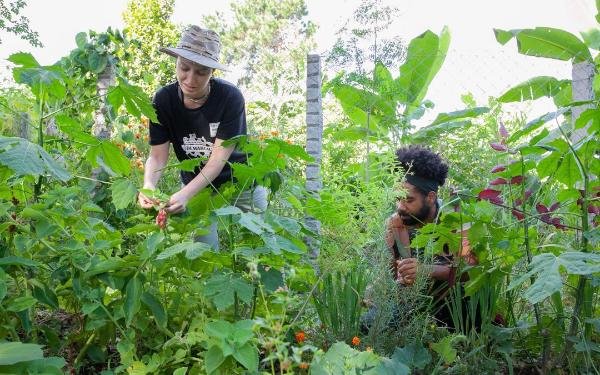 Jardins terapêuticos serão instalados em unidades de saúde e locais de longa permanência