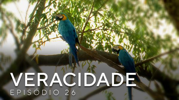 d69aeead-9fbf-cda1-753c-0ff0c35b8338.png Veracidade destaca o lado turístico de Brasília