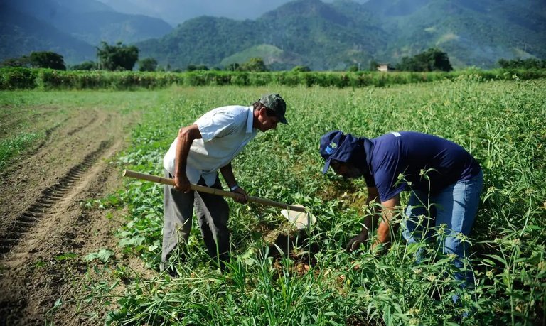 microcredito-rural.jpeg microcredito-rural.jpeg