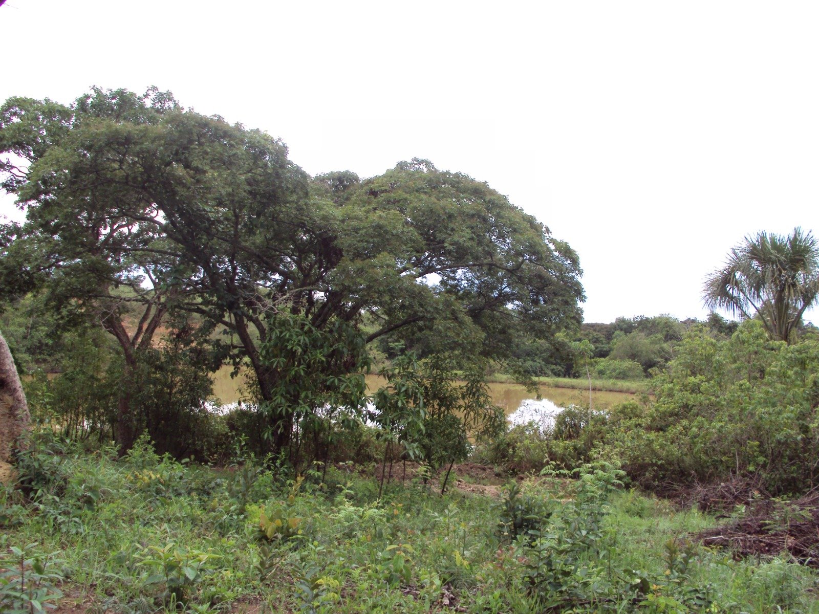 parque_distrital_lobo_guara.jpg parque_distrital_lobo_guara.jpg