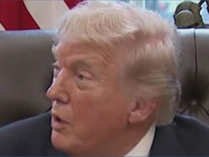 w4MDStba-Donald-Trump-430x323.jpg