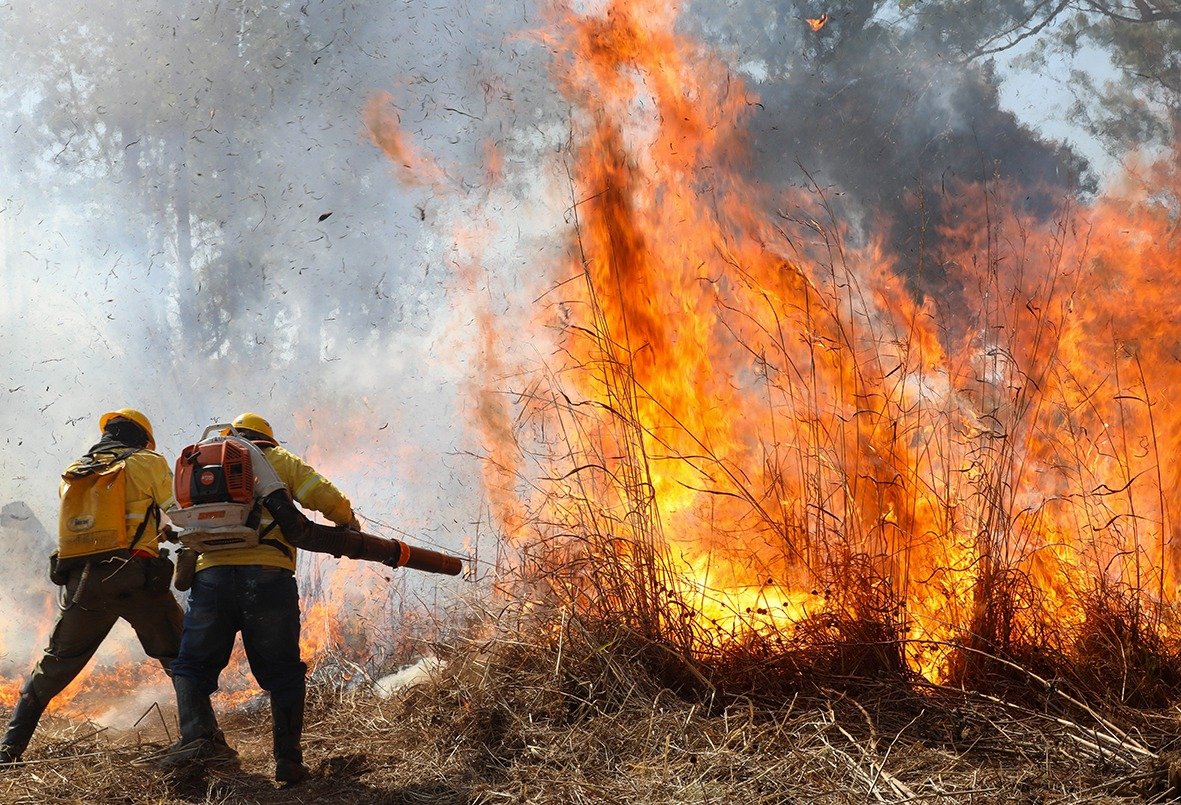 1787446414_chamas-incendio-florestal.jpeg