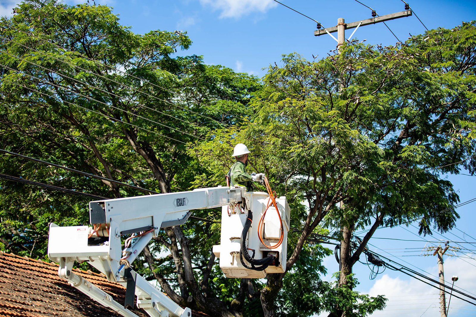 Distribuicao.-Foto-Neoenergia-104.jpg