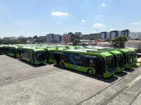 onibus-eletricos.jpg
