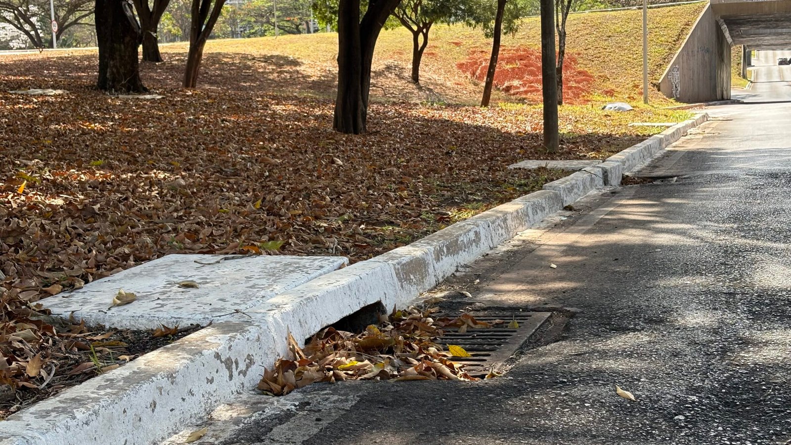 DF reforça limpeza de drenagem, mas pontos históricos ainda preocupam antes das chuvas