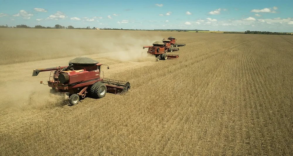 Produção agrícola de Goiás em 2025