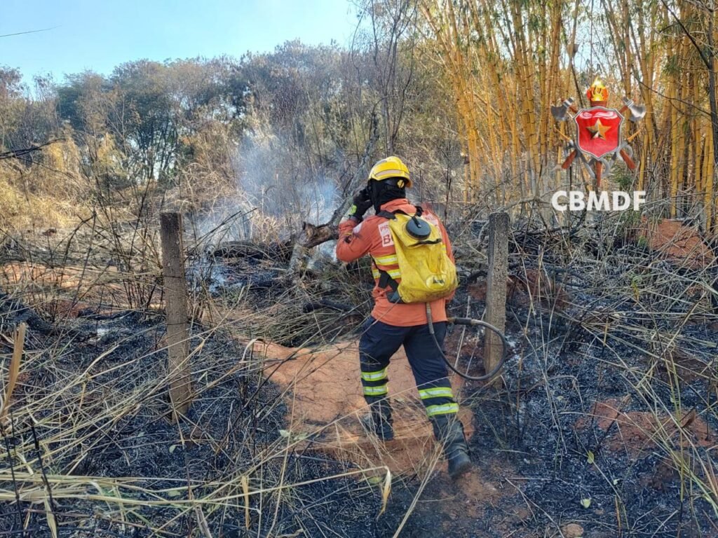 Bombeiros combatem incêndio em vegetação na L4 Norte, próximo à UnB