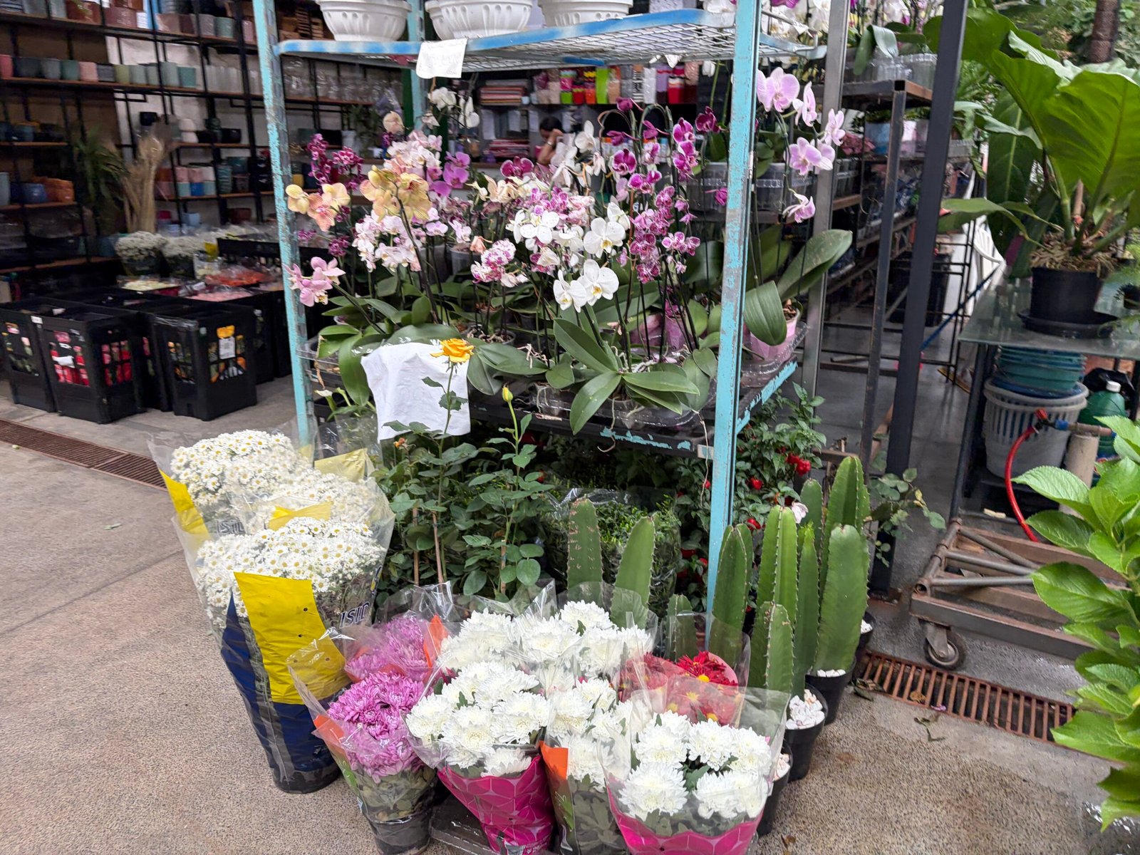 Dia de Finados aquece venda de flores no DF e exige planejamento antecipado